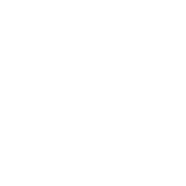 Icon of 45%
