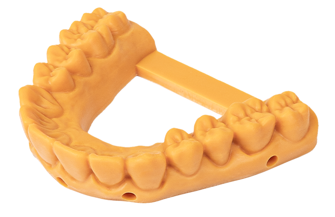 3d printed Dental models
