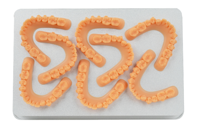 3d printed Dental models