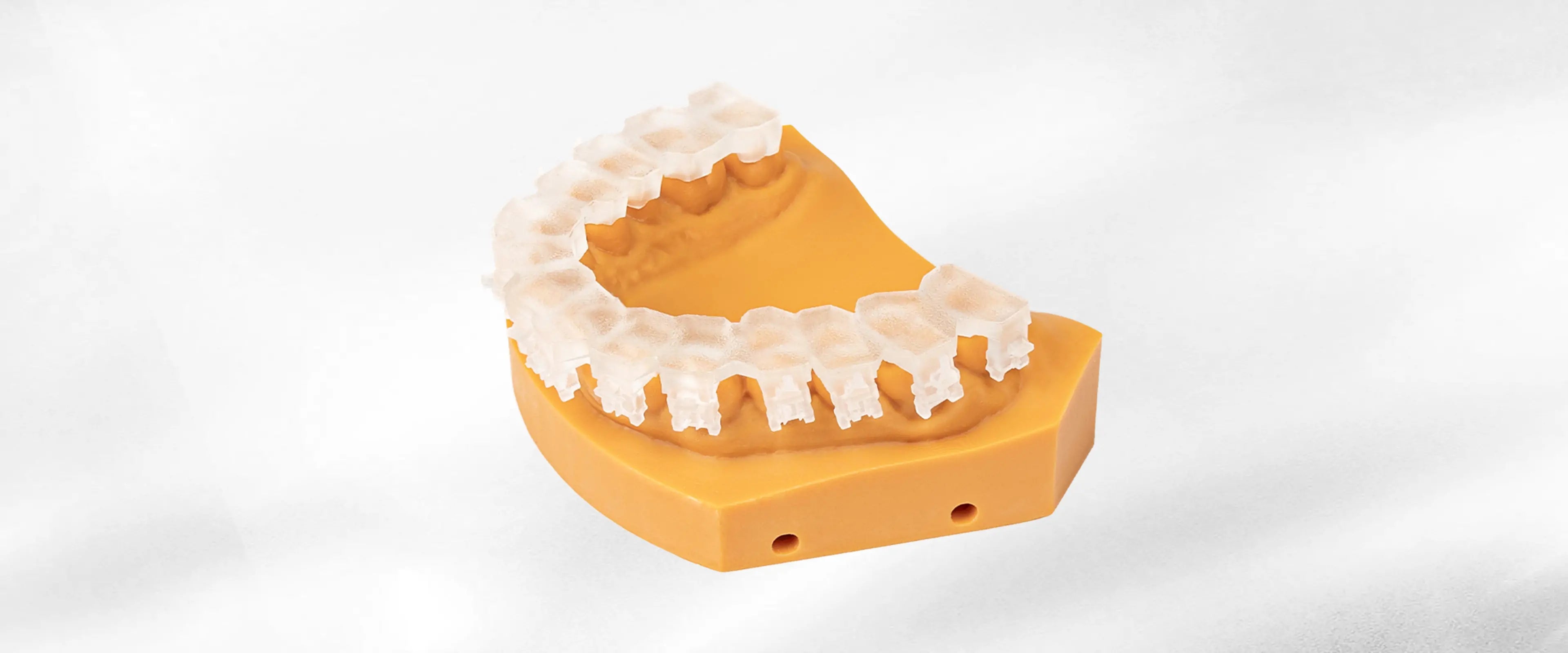 Orthodontic Bracket Tray